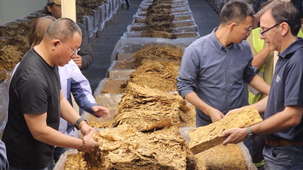 Producción: Se cumplió la inspección de calidad y negociación de precios con china Tobacco International